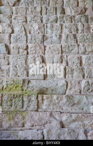 Escalinata Jeroglifica, scala geroglifica, Copan Ruinas, Honduras Foto Stock