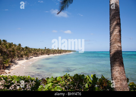 Little Corn Island, Nicaragua Foto Stock