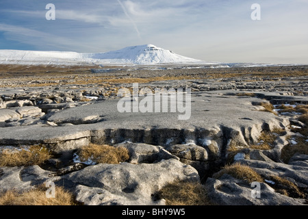 Veduta invernale di Ingleborough, nel Yorkshire Dales National Park, dalla pavimentazione di pietra calcarea di scale Moor Foto Stock