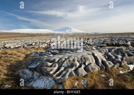 Veduta invernale di Ingleborough, nel Yorkshire Dales National Park, dalla pavimentazione di pietra calcarea di scale Moor Foto Stock