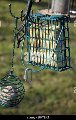 Bird fat/suet blocco alimentatore-close up Foto Stock