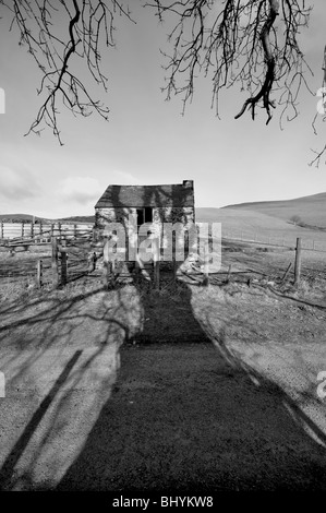 Vecchio eerie Welsh fienile con ombra di albero in bianco e nero Foto Stock