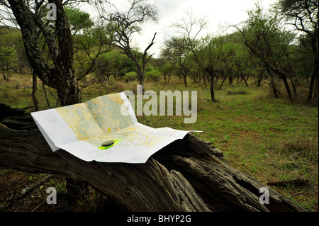 Scena di distesi cartina e bussola sull'albero morto a Savannah bush del Sud Africa ancora vita Travel illustrare concetti Foto Stock