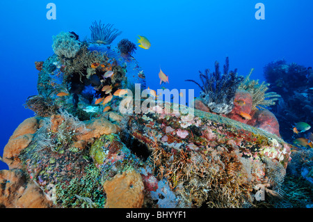 Colorata barriera corallina artificiale fatta di vecchi pneumatici, Jemeluk, Cemeluk, Amed, Bali, Indonesia, Indo-pacifico Ocean Foto Stock