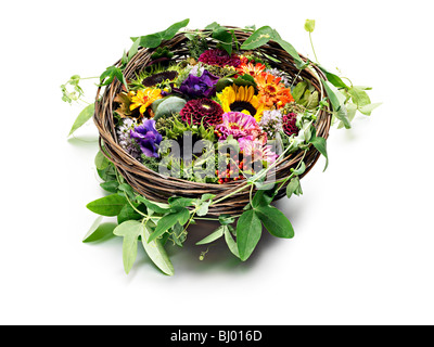 Fiori estivi in tessuto di nidificazione degli uccelli Foto Stock