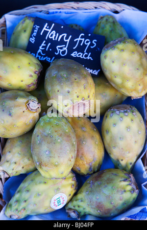 Hairy figure al di fuori del Hairy Fig shop on Fossgate York Yorkshire Inghilterra Foto Stock