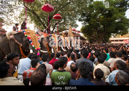 India Kerala, Koorkancherry Sree Maheswara tempio, Thaipooya Mahotsavam festival di linea 9 caparisoned tempio elefanti al tramonto Foto Stock