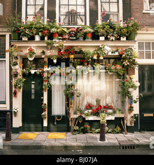 Fiore coloratissimo decorate casa davanti in Olanda, Amsterdam, Paesi Bassi, Europa Foto Stock