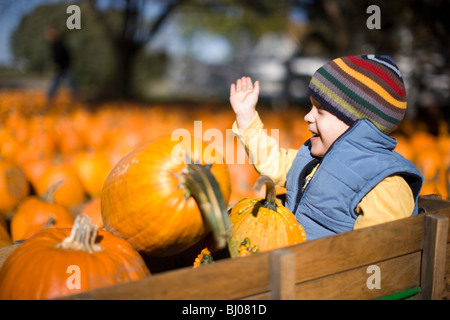 Giovane ragazzo in sella a un carro a pumpkin patch. Foto Stock