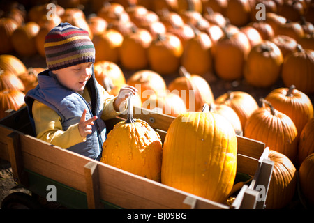 Giovane ragazzo in sella a un carro a pumpkin patch. Foto Stock