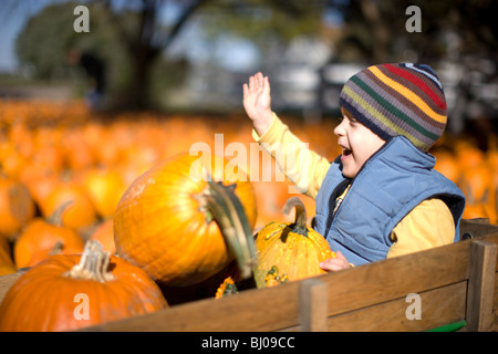 Giovane ragazzo in sella a un carro a pumpkin patch. Foto Stock