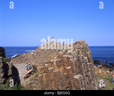 Il Selciato del gigante, County Antrim, Irlanda del Nord, Regno Unito Foto Stock