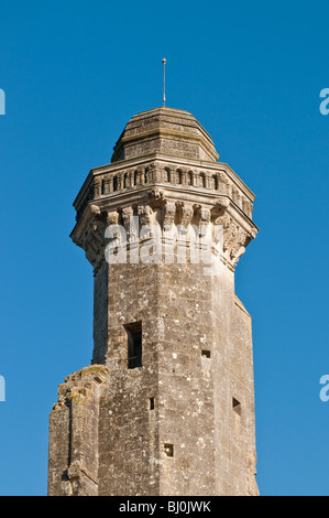 Chateau ottagonale torre, Le Grand-Pressigny, sud-Touraine, Francia. Foto Stock