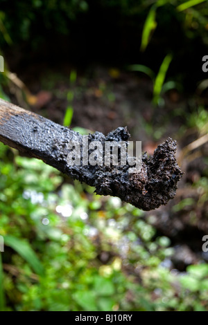 Rifiuti di olio di box e tubi in Amazzonia ecuadoriana creato da Texaco olio hanno presumibilmente contaminati a Rhode Island area dimensione. Foto Stock