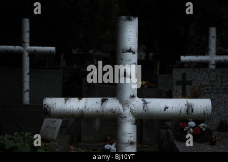 Croci di metallo imitato betulla, Powazki cimitero militare a Varsavia, Polonia Foto Stock