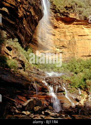Wentworth Falls, il Parco Nazionale Blue Mountains, Nuovo Galles del Sud, Australia Foto Stock