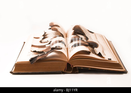 La masterizzazione di vecchio libro Foto Stock