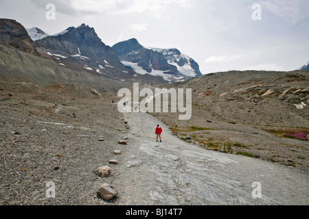 I turisti a piedi il sentiero verso il Ghiacciaio Athabasca, Jasper National Park, Alberta, Canada Foto Stock