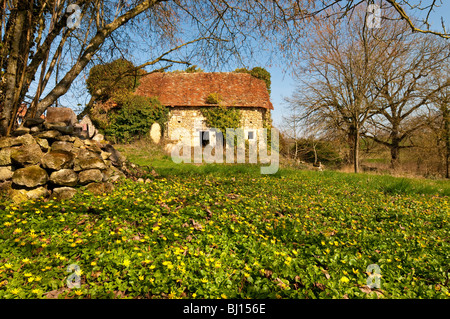 Xv secolo agriturismo e tappeto della wild Lesser Celandine piante - Indre-et-Loire, Francia. Foto Stock