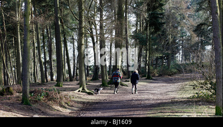 Licky Hills Country Park worcestershire Foto Stock