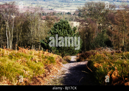 Licky Hills Country Park worcestershire Foto Stock