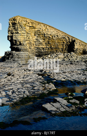 Scogliere a Nash punto nel Galles del Sud vista da rocce calcaree e Mudstone Beach con un nuovo flusso di acqua che fluisce oltre. Foto Stock