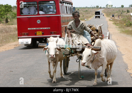 Scena di strada di campagna, Vakaneri, Sri Lanka Foto Stock