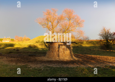 Motte e bailey castle yelden bedfordshire home counties Inghilterra uk europa Foto Stock