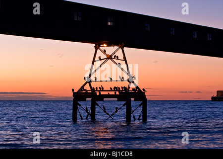 Wallaroo molo al tramonto Foto Stock