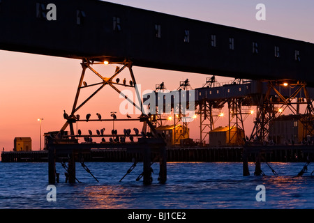 Wallaroo molo al tramonto Foto Stock