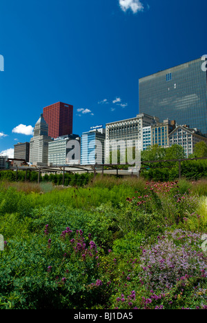 Lurie garden nel Millennium Park di Chicago Foto Stock