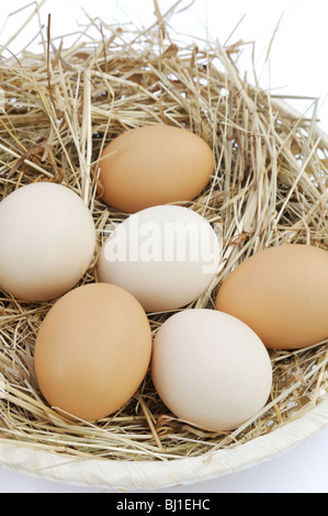 Uova fresche dell'azienda agricola Foto Stock