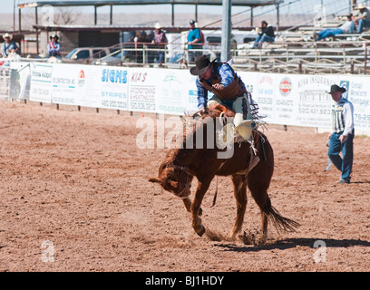 Un cowboy compete in sella bronc riding evento durante l'O'Odham Tash tutti-indian rodeo Foto Stock