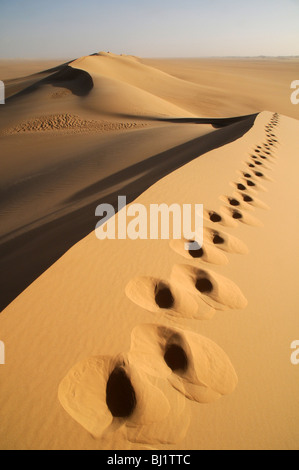Impronte sulla cresta di una duna di sabbia in remoto la grande mare di sabbia regione del deserto del Sahara, nel Western (Libyan) Deserto del southwest Egitto. Foto Stock