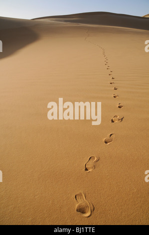 Impronte su una duna di sabbia in remoto la grande mare di sabbia regione del deserto del Sahara, nel Western (Libyan) Deserto del southwest Egitto. Foto Stock