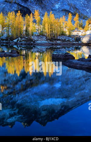 I larici al Lago Leprechaun nell incanto Lakes Wilderness nello stato di Washington, USA Foto Stock