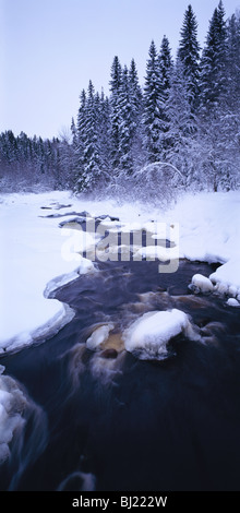 Un piccolo fiume in vinter Foto Stock