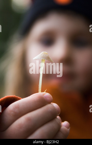 Un bambino guardando un fungo, Svezia. Foto Stock