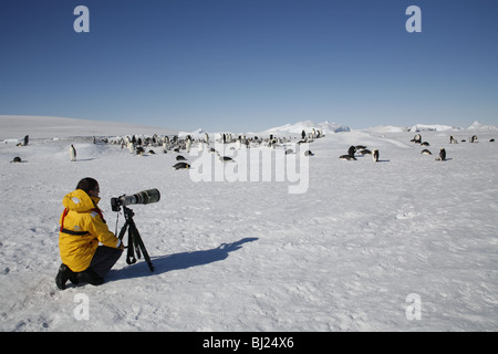 Fotografo in attesa presso l'imperatore pinguino, Aptenodytes forsteri, colonia in colline di neve isola penisola antartica in una giornata di sole Foto Stock