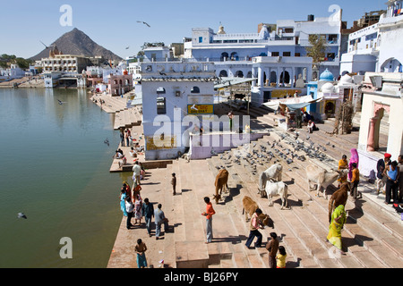 Pellegrini indù rendendo il rituale puja. Gau Ghat. Lago di Pushkar. Il Rajasthan. India Foto Stock