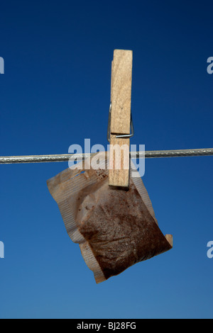 Singole bustine di the bagnato appeso su una linea di lavaggio con cielo blu Foto Stock