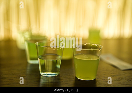 Degustazione di Assenzio Absinthe campioni Foto Stock