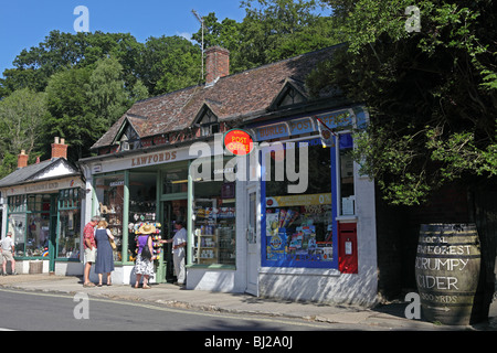 Nuova Foresta Burley Foto Stock