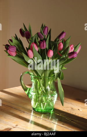 Tulipani Foto Stock