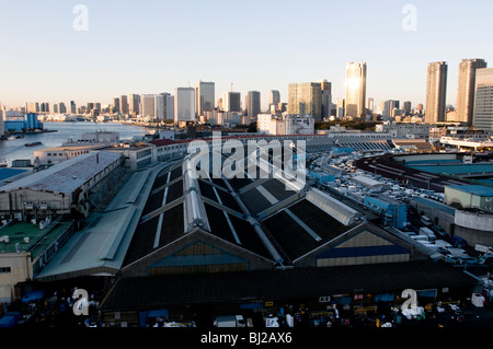 Il Mercato del Pesce di Tsukiji Foto Stock