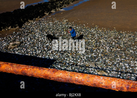 Signora tenendo il suo cane per una passeggiata su una spiaggia sassosa nel pomeriggio di sole primaverile visto da una passeggiata sopraelevata con barriere arrugginito Foto Stock