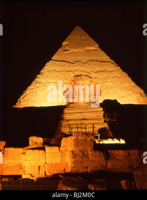 L'antica piramide di Khafre e la Grande Sfinge di Giza di notte, Giza, governate Giza, Repubblica di Egitto Foto Stock