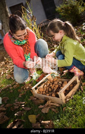 Autunnale di giardinaggio Foto Stock