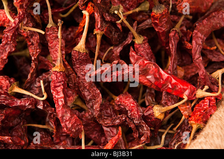 India Kerala, Calicut, Kozhikode, grande Bazaar, sacco di secchi peperoncino rosso sul display in grossista shop - dettaglio Foto Stock