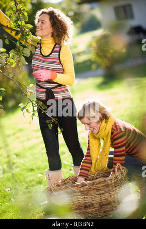 Autunnale di giardinaggio Foto Stock